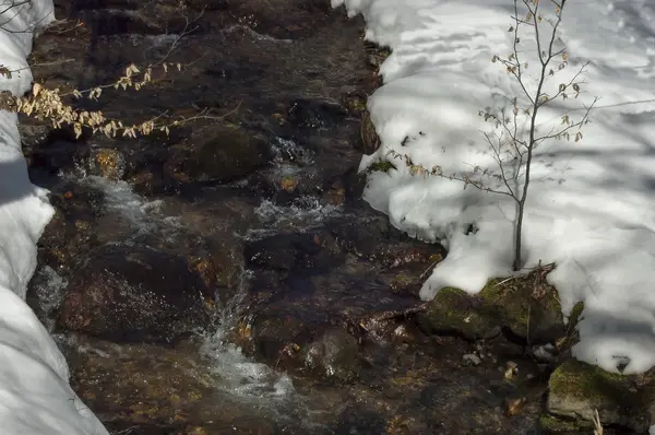 Sunlit prisa montaña arroyo con nieve derretida —  Fotos de Stock