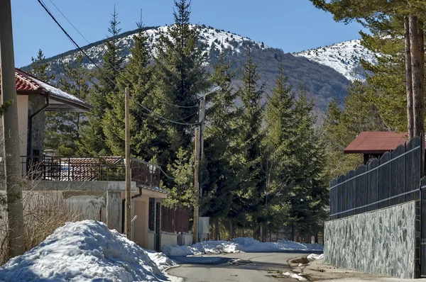 Casa de campo en montaña Vitosha —  Fotos de Stock