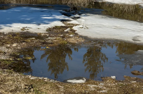 Kışın dağ Vitosha su ile küçük gölet