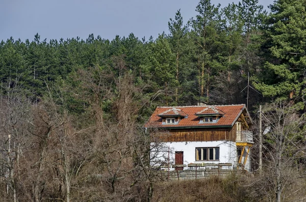春天森林的房子, 潘查列沃 — 图库照片