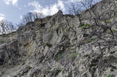 Lozen dağın cliff ve üst ağaçları ile dağın