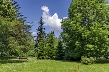Sulama sistemi ile diğer Park için ahşap Bank