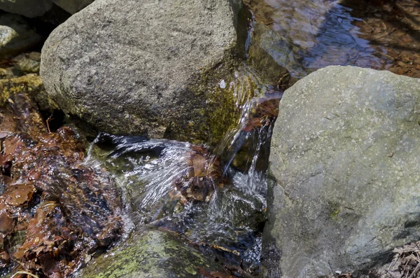 Bellissimo movimento sfocato paesaggio del flusso d'acqua nella foresta verde — Foto Stock