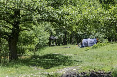 Glade ile ve yeşil orman Panoraması