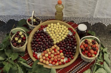 Kyustendil, senet dışarı onların üretim ham meyve, reçel ve üzüm vişne meyve Bayramı