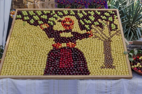 Fête des cerises dans le Kyustendil, présenter leur production de fruits crus — Photo