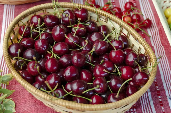 Fiesta de la fruta de cereza en el Kyustendil, presentar su producción de fruta cruda —  Fotos de Stock