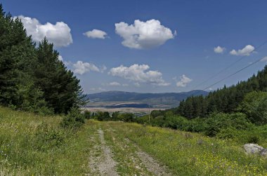 Bulgaristan 'ın Rila dağındaki yeşil orman, yol ve çiçek çayırları 