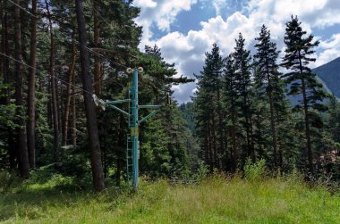 Bulgaristan 'ın Rila Dağı' ndaki yeşil orman, kaldırma ve çiçek çayırları