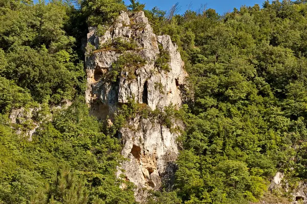 Rusenski Lom Doğa Parkı 'nın yüksek dikey kireçtaşı uçurumlarıyla kaplı bölgesinden gelen Panorama, yaprak döken ağaçlarla kaplı, Nisovo, Bulgaristan  