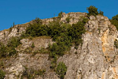 Rusenski Lom Doğa Parkı 'nın yüksek dikey kireçtaşı uçurumlarıyla kaplı bölgesinden gelen Panorama, yaprak döken ağaçlarla kaplı, Nisovo, Bulgaristan 