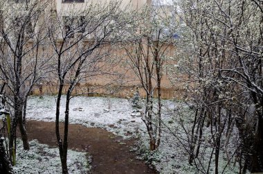 Düşen ağaç dalları Sofya ve Bulgaristan 'da geç, yoğun bir kar yağışı   