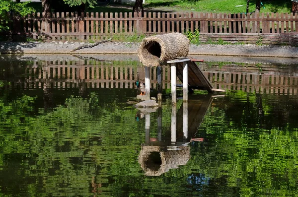 Lugar Anidación Para Patos Construidos Lago Jardín Ciudad Sofía Bulgaria —  Fotos de Stock