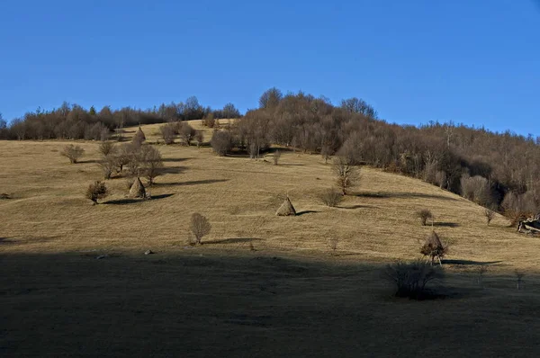 Vista Pasto Montaña Con Cuencos Tradicionales Heno Para Invierno Cerca — Foto de Stock