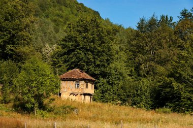 Vasiliovo, Bulgaristan - 21 Temmuz 2012: Bulgaristan 'ın Vasiliovo kasabasında eski antika inşaatlı terk edilmiş geleneksel ev. Ziyaret yerinde.. 