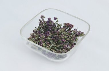 ekolojik medicative kuru bitki çiçek - origanum (origanum vulgare)