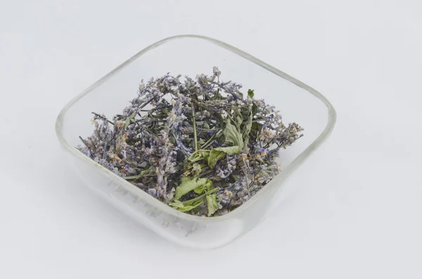 Ekologiska medicinsk torra örten blomma - pepparmynta (mentha piperita) — Stockfoto