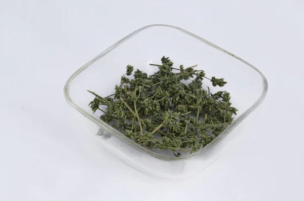Ekologiska medicinsk torra örten blomma - salta (satureja) — Stockfoto