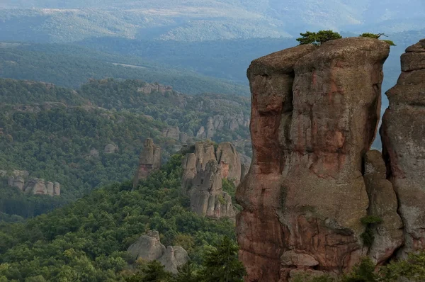 Rocks formation in belogradchik area — Stock Photo, Image