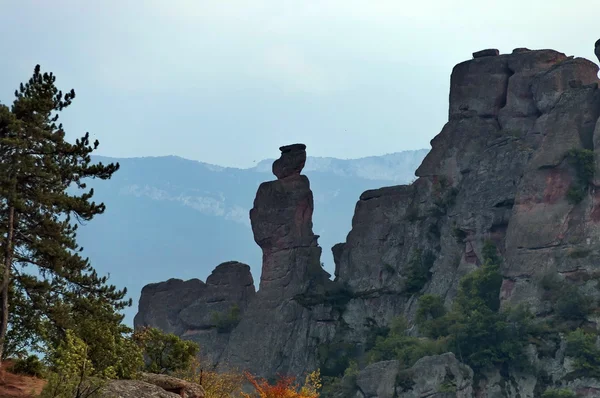 Rock formáció "iskolás" belogradchik sziklák — Stock Fotó