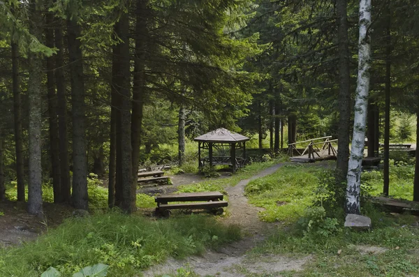 Beauty nook for respite in the Vitosha mountain — Stock Photo, Image