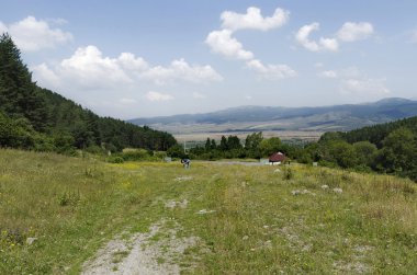 Rila Dağı yeşil orman ve çiçek alanı
