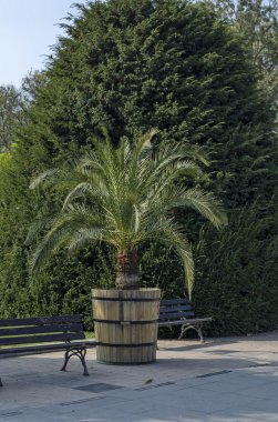 Rusçuk şehir merkezine köşede Güzellik