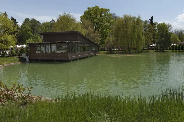 Primavera no parque whit lago e floresta — Fotografia de Stock