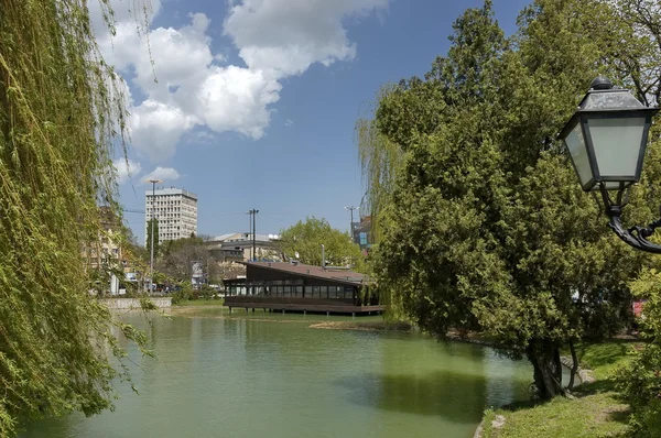 Primavera en el parque con lago y bosque — Foto de Stock