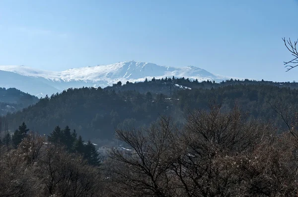 Bosque de nieve en la montaña durante el invierno, montaña Vitosha —  Fotos de Stock