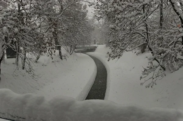 Vista de invierno con tormenta de nieve en Sofía —  Fotos de Stock