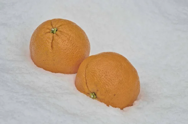 Orange fruit refrigerate in the snow-drift at garden — Stock Photo, Image