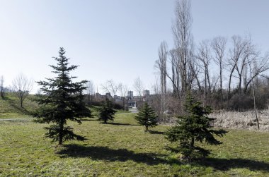 Yaprak döken ağaç ve kozalaklı bahar alanıyla