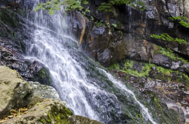 Taze Boyana şelale derin orman ve rock