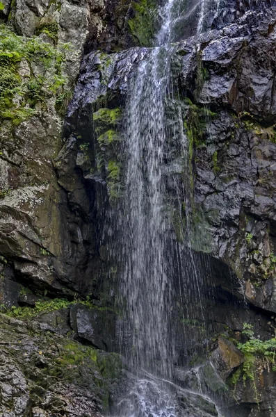 Cachoeiras Boyana frescas em floresta profunda e rocha — Fotografia de Stock