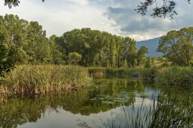 Güzel South Park'taki küçük Barajı