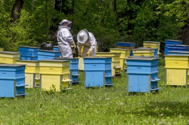 Peçe kovanlar arasında arı kovanı işyerinde iki arı-masters