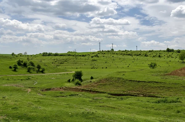Фон поля с травой, травой и деревьями — стоковое фото