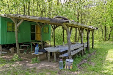 Penthouse, ormanın içinde arı kovanı