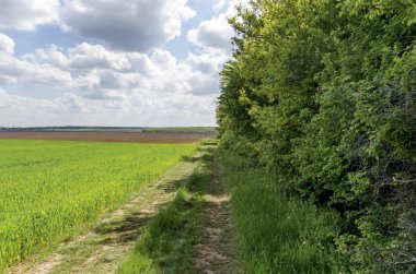 Arka plan gökyüzü, bulutlar ve alan nadas ile