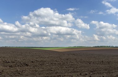 Mısır alan, ağaçlar ve ilkbaharda bina doğru bakışla nadas alan