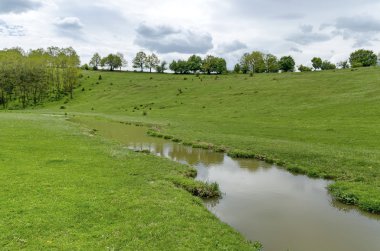 Arka plan gökyüzü, bulutlar, alan ve akasya orman