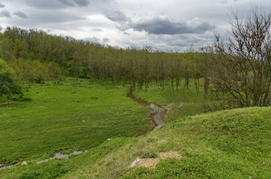Arka plan gökyüzü, bulutlar, alan ve akasya orman