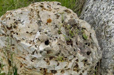 Tortul kaya alanına doğru genel görünümü