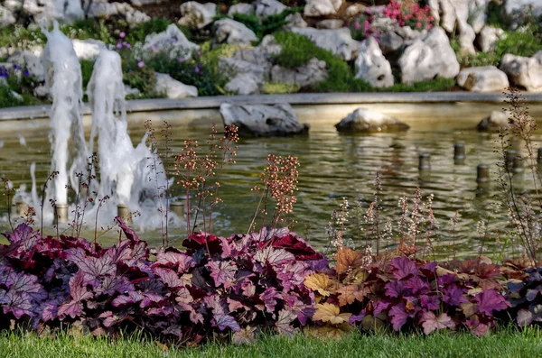 Grupo de pequeñas fuentes de agua que fluyen en frente de belleza rocosa — Foto de Stock