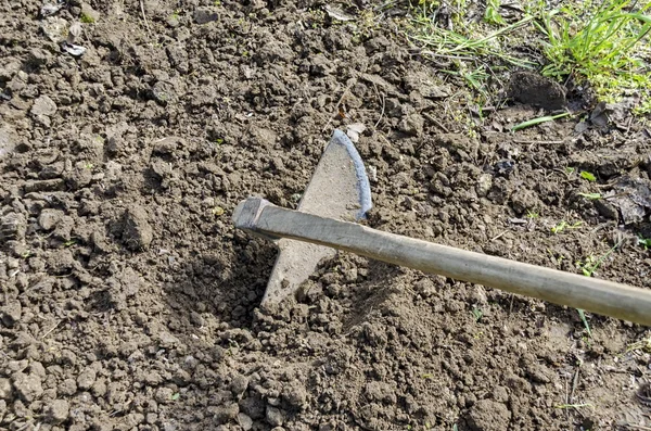 Azada, la herramienta tradicional para la agricultura y la jardinería — Foto de Stock