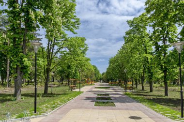 Güzellik Ekipmanları Park açık hava bir anaokulu