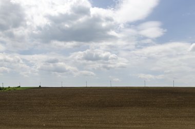 Bahar nadas alanına ile