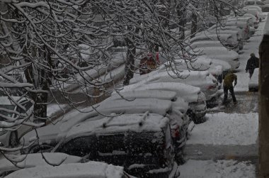 Şiddetli rüzgârlar ve park halindeki araçlarla caddelerde şiddetli kar yağışı olan bir kar fırtınasında dallara küçük kar yığınları yağar: Sofya, Bulgaristan
