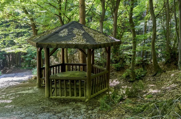 Schilderachtige weg door groene bossen met alkoof — Stockfoto